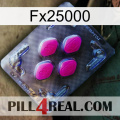 Fx25000 02